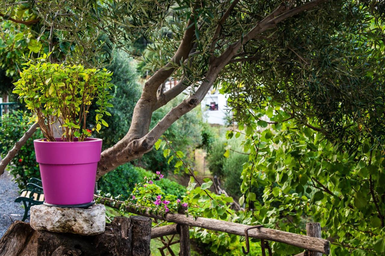 Chic & Spacious House In Rodia Heraklion 外观 照片